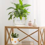 Hlukana Ceramic Plant Pots Set of 3, 6.75/5.6/4.2 inch Planters with Drainage Ho... - Image 7
