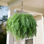 Artificial Hanging Plants Outdoor, UV Resistant Fake Fern Faux Greenery for Outs... - Image 6