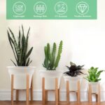 Pottiffe 10 Inch Plastic-Flower-Pot-for-Indoor-Plants, 4 Pack Large Outdoor Plan... - Image 4