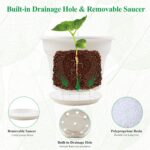 Pottiffe 10 Inch Plastic-Flower-Pot-for-Indoor-Plants, 4 Pack Large Outdoor Plan... - Image 5