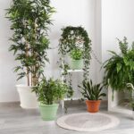 Pottiffe 10 Inch Plastic-Flower-Pot-for-Indoor-Plants, 4 Pack Large Outdoor Plan... - Image 6