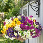2 Set Artificial Outdoor Flowers with Hanging Baskets,24 Pcs UV Resistant Faux P... - Image 4