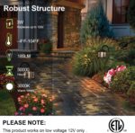 hykolity Low Voltage Outdoor Integrated LED Landscape Lighting, 3W 185LM 12V-15V... - Image 3