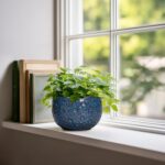 6 Inch Plant Pot - Ceramic Pots for Plants with Drainage Hole, Round Orchid Pot,... - Image 4
