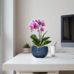 6 Inch Plant Pot - Ceramic Pots for Plants with Drainage Hole, Round Orchid Pot,... - Image 6