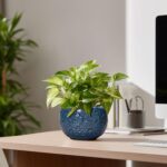 6 Inch Plant Pot - Ceramic Pots for Plants with Drainage Hole, Round Orchid Pot,... - Image 9