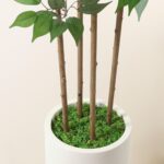 SOGUYI Ficus Artificial Tree 6ft Fake Silk Plant for Home Decor Indoor, Faux Flo... - Image 6