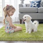Rugs for Living Room 5x8, Alfombras para Salas Shag Large Plush Soft Area Rug, S... - Image 4