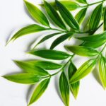 SzJias Artificial Hanging Plants Fake Bamboo Leaves Plants Fake Hanging Plants f... - Image 4