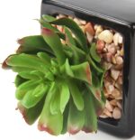 Hollyone Small Succulents Artificial 3 Pcs Faux Succulents in Pots Fake Succulen... - Image 3