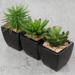 Hollyone Small Succulents Artificial 3 Pcs Faux Succulents in Pots Fake Succulen... - Image 5