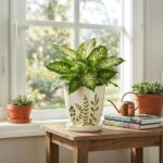 MPotTo Ceramic Pots for Plants - 6 Inch Plant Pot for Indoor Outdoor Plants, Cer... - Image 7