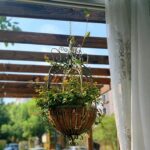 Large Hanging Planter for Outdoor Indoor Plants, 12.6-Inch Rustic Metal Hanging ... - Image 7