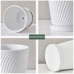 Ton Sin Plant Pots,White 6 Inch Flower Pots for Plants,Ceramic Planter with Drai... - Image 5
