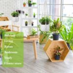 White Macrame Plant Hanger Set, 2 Pack Boho Hanging Plant Holder, Plants Hanger ... - Image 5
