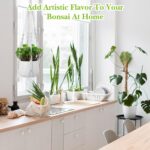 White Macrame Plant Hanger Set, 2 Pack Boho Hanging Plant Holder, Plants Hanger ... - Image 6