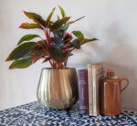 Brass Hammered Planter for Plants and Succulents - Modern, Vintage, Mid-Century ... - Image 5