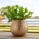 Brass Hammered Planter for Plants and Succulents - Modern, Vintage, Mid-Century ... - Image 6