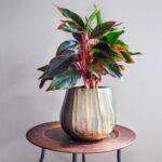 Brass Hammered Planter for Plants and Succulents - Modern, Vintage, Mid-Century ... - Image 9