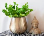 Brass Hammered Planter for Plants and Succulents - Modern, Vintage, Mid-Century ... - Image 10