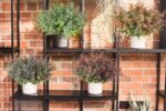 RECUTMS 8 Bundles Artificial Greenery Plants Stems Outdoor Fake Eucalyptus Plant... - Image 7