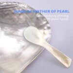 ThougrLyh Caviar Spoon 5pcs Mother of Pearl Spoons for Caviar Ice Cream Sauce 3.... - Image 3