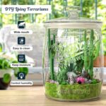 2 Pack Cookie Jar, 1 Gallon Glass Jar with Airtight Lids - Large Wide Mouth Maso... - Image 7