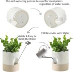 Nihow Self Watering Plant Pot: 6 Inch Ceramic Planter with Drainage Hole & Water... - Image 4