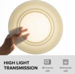 Fine Bone China Dinner Plates 6-Piece, Flate Plate, Pasta Plate 10.75 Inches, Fi... - Image 4