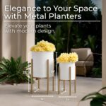 Decorative Flower Pots with Metal Stand for Home Decor - Modern Planters for Hal... - Image 4