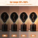 SD LUX Oversized Vintage LED Light Bulbs 5W, Medium Base E26, Giant Edison Bulb ... - Image 5