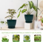 Plant Pots Indoor with Saucers & Drainage - 6 Pack Flower Pots - Plastic Planter... - Image 4