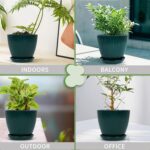 Plant Pots Indoor with Saucers & Drainage - 6 Pack Flower Pots - Plastic Planter... - Image 5