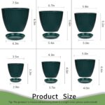 Plant Pots Indoor with Saucers & Drainage - 6 Pack Flower Pots - Plastic Planter... - Image 7