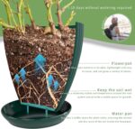 Plant Pots Indoor with Saucers & Drainage - 6 Pack Flower Pots - Plastic Planter... - Image 8
