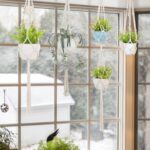2 pcs Macrame Plant Hanger Indoor – Heavy Cotton Rope Supports Up to 20 lbs – De... - Image 6