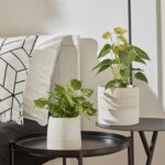 LA JOLIE MUSE Flower Pots Indoor Plant Pot Set of 2, Unique Small Ceramic Plants... - Image 3