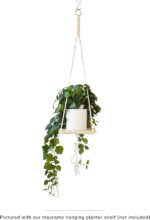 Retrograde 32" Realistic Fake Pothos Ivy Plant Silk Artificial Plant for Aesthet... - Image 5