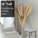 4E's Novelty 16 Inch Tall Cylinder Glass Vase, 3.5" Wide - Clear Glass Vase for ... - Image 5