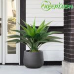 Artificial Agave Plant 2ft - 24" Large Fake Aloe Vera Plants Indoor with Fake Gr... - Image 3