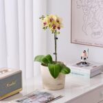 Ekirlin 7 Inch Natural Travertine Textures Plant Pot, Resin Outdoor Planter with... - Image 4
