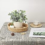 Hopewood Faux Plants, Small Fake Plant for Bathroom, Decorative Artificial Plant... - Image 3