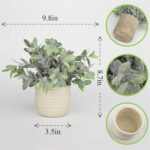 Hopewood Faux Plants, Small Fake Plant for Bathroom, Decorative Artificial Plant... - Image 4