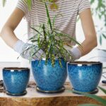 Plant Pots Indoor, Ceramic Planters Pots with Drainage Holes and Saucers, 10+8+6... - Image 5
