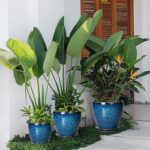 Plant Pots Indoor, Ceramic Planters Pots with Drainage Holes and Saucers, 10+8+6... - Image 6