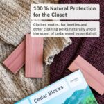 16 American Cedar Wood Blocks – Stop Clothes Damage - Wardrobe Freshener – Premi... - Image 3