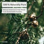 16 American Cedar Wood Blocks – Stop Clothes Damage - Wardrobe Freshener – Premi... - Image 6