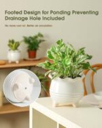 Fayoula Ceramic Planter, 2 Piece Ceramic Planter Set with Drainage Hole for Home... - Image 3