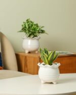 Fayoula Ceramic Planter, 2 Piece Ceramic Planter Set with Drainage Hole for Home... - Image 7