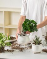 Fayoula Ceramic Planter, 2 Piece Ceramic Planter Set with Drainage Hole for Home... - Image 9